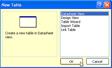 The New Table dialog box